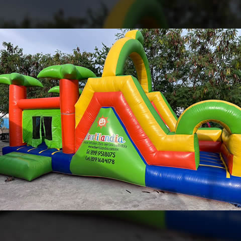 inflable-palmeritas